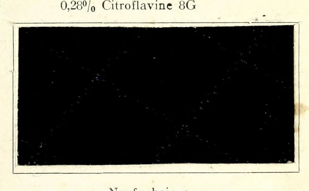 An illustration from Wollmarineblau P2B und Kresolschwarz S4B mit Glanzstoffeffekten im Stück gefärbt = Bleu marine pour laine P2B et noir krésol S4B teints sur pièce avec effets de soire artificielle (Glanzstoff d'Elberfeld) = Wool navy blue P2B and kresol black S4B dyed on piece with Elberfeld artificial silk threads (Glanzstoff), 1890, leaf 3