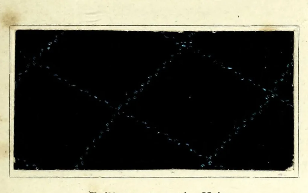 An illustration from Wollmarineblau P2B und Kresolschwarz S4B mit Glanzstoffeffekten im Stück gefärbt = Bleu marine pour laine P2B et noir krésol S4B teints sur pièce avec effets de soire artificielle (Glanzstoff d'Elberfeld) = Wool navy blue P2B and kresol black S4B dyed on piece with Elberfeld artificial silk threads (Glanzstoff), 1890, leaf 3