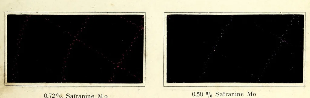 An illustration from Wollmarineblau P2B und Kresolschwarz S4B mit Glanzstoffeffekten im Stück gefärbt = Bleu marine pour laine P2B et noir krésol S4B teints sur pièce avec effets de soire artificielle (Glanzstoff d'Elberfeld) = Wool navy blue P2B and kresol black S4B dyed on piece with Elberfeld artificial silk threads (Glanzstoff), 1890, leaf 5