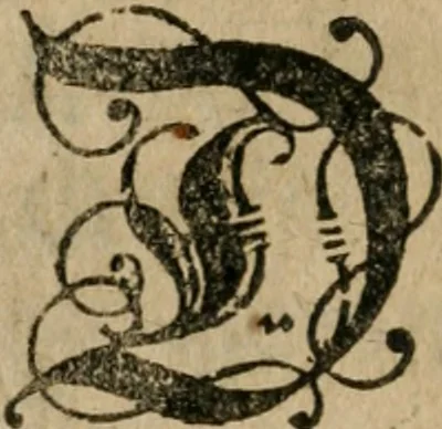 An illustration from Wolmeinendes Bedencken, von der Fama vnd Confession der Brüderschafft dess Rosen Creutzes : eine Vniuersal Reformation vnd Vmbkehrung der gantzen Welt vor dem jüngsten Tag zu einem jrrdischen Paradeyss, wie es Adam vor dem Fall innegehabt, vnd Restitution aller Künste vnd Weissheit, als Adam nach dem Fall, Enoch, Salomon, [et]c. gehabt haben betreffent ..., 1616, leaf 13