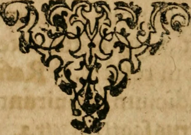 An illustration from Wolmeinendes Bedencken, von der Fama vnd Confession der Brüderschafft dess Rosen Creutzes : eine Vniuersal Reformation vnd Vmbkehrung der gantzen Welt vor dem jüngsten Tag zu einem jrrdischen Paradeyss, wie es Adam vor dem Fall innegehabt, vnd Restitution aller Künste vnd Weissheit, als Adam nach dem Fall, Enoch, Salomon, [et]c. gehabt haben betreffent ..., 1616, leaf 295
