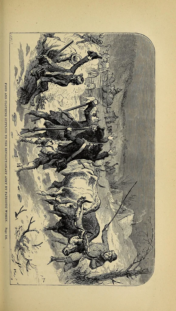 An illustration from Woman on the American frontier. A valuable and authentic history of the heroism, adventures, privations, captivities, trials, and noble lives and deaths of the "pioneer mothers of the republic.", 1877, leaf 155