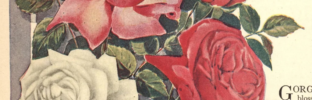 An illustration from Woman's World "The Magazine of the Middle West" (January, 1922), 1922, leaf 19