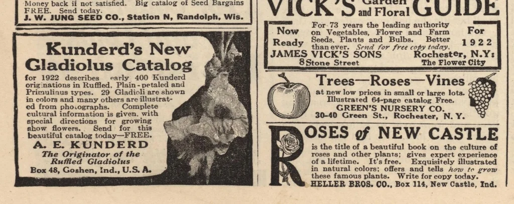 An illustration from Woman's World "The Magazine of the Middle West" (January, 1922), 1922, leaf 33