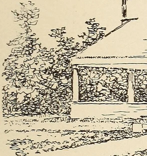An illustration from The woman's book, dealing practically with the modern conditions of home-life, self-support, education, opportunties, and every-day problems, 1894, leaf 114
