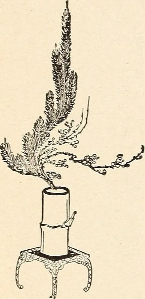 An illustration from The woman's book, dealing practically with the modern conditions of home-life, self-support, education, opportunties, and every-day problems, 1894, leaf 145