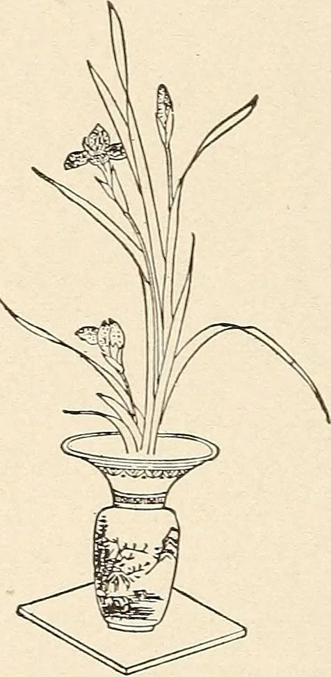An illustration from The woman's book, dealing practically with the modern conditions of home-life, self-support, education, opportunties, and every-day problems, 1894, leaf 145