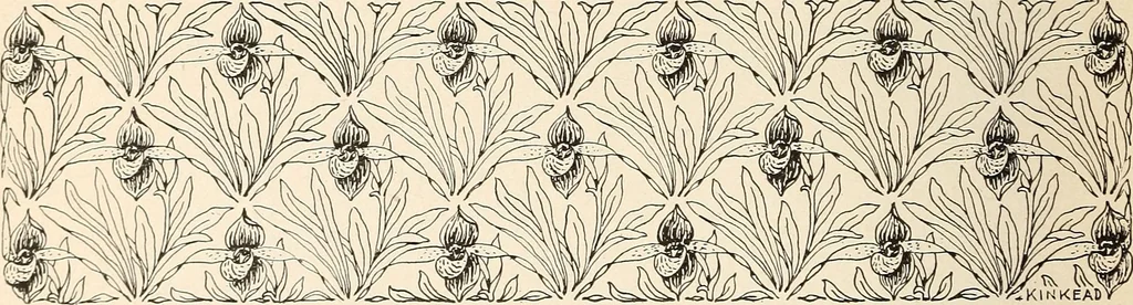 An illustration from The woman's book, dealing practically with the modern conditions of home-life, self-support, education, opportunties, and every-day problems, 1894, leaf 207