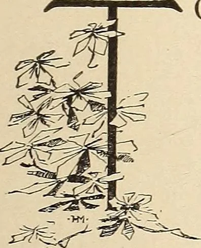 An illustration from The woman's book, dealing practically with the modern conditions of home-life, self-support, education, opportunties, and every-day problems, 1894, leaf 22