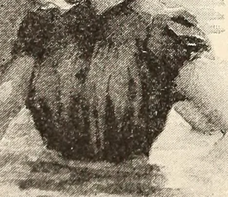 An illustration from The woman's book, dealing practically with the modern conditions of home-life, self-support, education, opportunties, and every-day problems, 1894, leaf 237