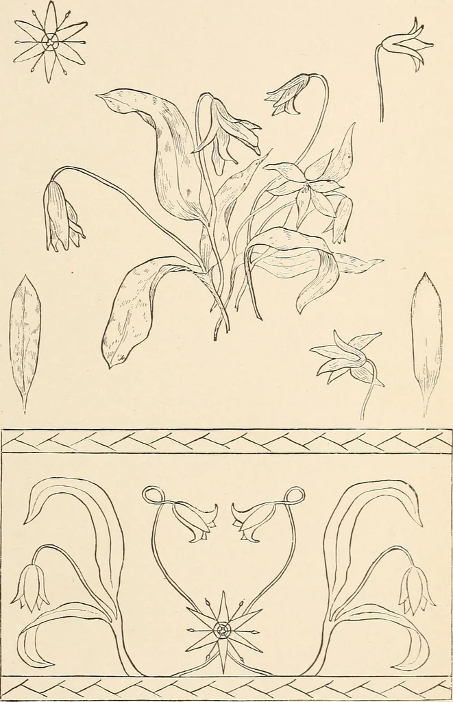 An illustration from The woman's book, dealing practically with the modern conditions of home-life, self-support, education, opportunties, and every-day problems, 1894, leaf 252