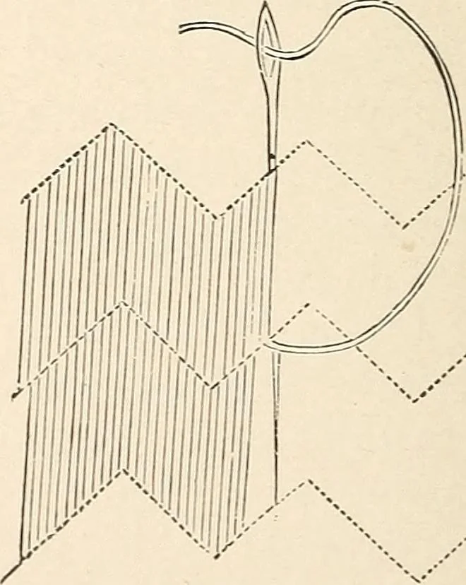 An illustration from The woman's book, dealing practically with the modern conditions of home-life, self-support, education, opportunties, and every-day problems, 1894, leaf 255