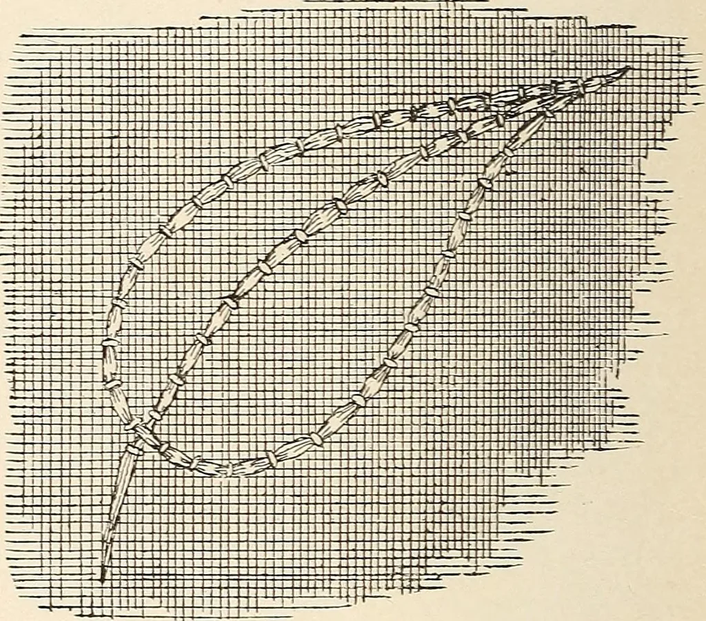 An illustration from The woman's book, dealing practically with the modern conditions of home-life, self-support, education, opportunties, and every-day problems, 1894, leaf 257
