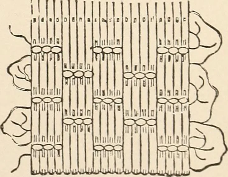 An illustration from The woman's book, dealing practically with the modern conditions of home-life, self-support, education, opportunties, and every-day problems, 1894, leaf 258