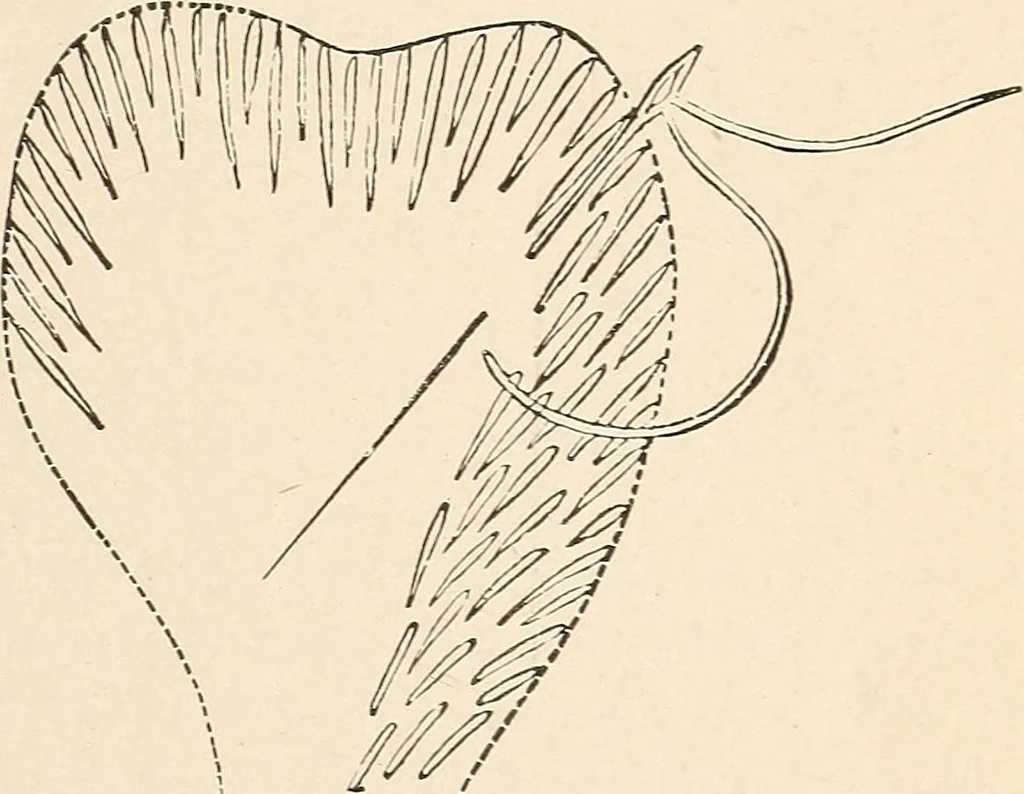 An illustration from The woman's book, dealing practically with the modern conditions of home-life, self-support, education, opportunties, and every-day problems, 1894, leaf 260