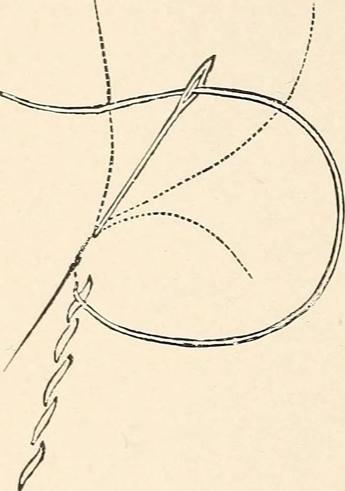 An illustration from The woman's book, dealing practically with the modern conditions of home-life, self-support, education, opportunties, and every-day problems, 1894, leaf 261