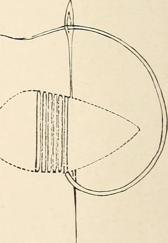 An illustration from The woman's book, dealing practically with the modern conditions of home-life, self-support, education, opportunties, and every-day problems, 1894, leaf 261