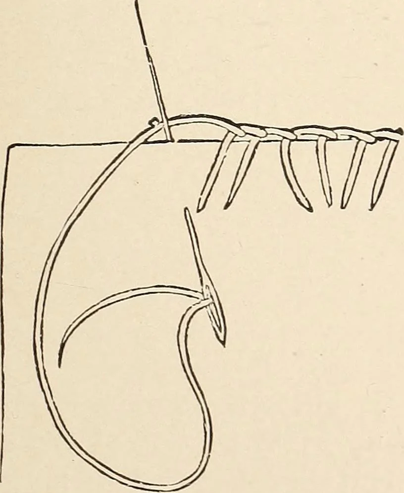 An illustration from The woman's book, dealing practically with the modern conditions of home-life, self-support, education, opportunties, and every-day problems, 1894, leaf 262