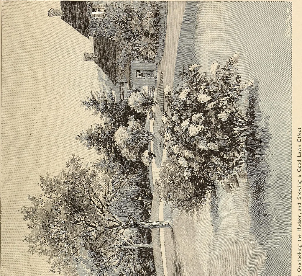 An illustration from The woman's book, dealing practically with the modern conditions of home-life, self-support, education, opportunties, and every-day problems, 1894, leaf 30