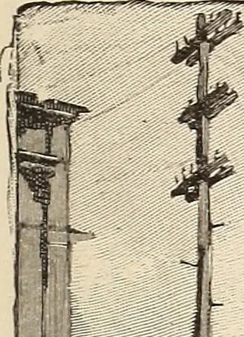 An illustration from The woman's book, dealing practically with the modern conditions of home-life, self-support, education, opportunties, and every-day problems, 1894, leaf 332