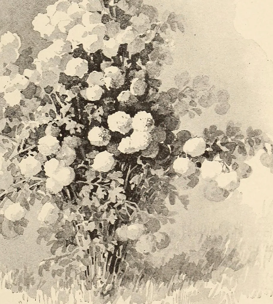 An illustration from The woman's book, dealing practically with the modern conditions of home-life, self-support, education, opportunties, and every-day problems, 1894, leaf 36