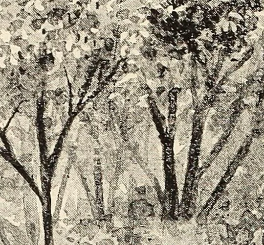 An illustration from The woman's book, dealing practically with the modern conditions of home-life, self-support, education, opportunties, and every-day problems, 1894, leaf 41