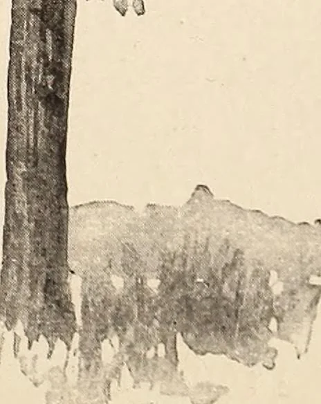 An illustration from The woman's book, dealing practically with the modern conditions of home-life, self-support, education, opportunties, and every-day problems, 1894, leaf 42