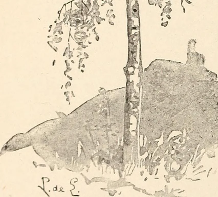 An illustration from The woman's book, dealing practically with the modern conditions of home-life, self-support, education, opportunties, and every-day problems, 1894, leaf 43