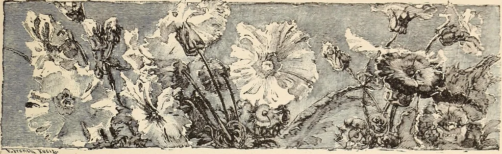 An illustration from The woman's book, dealing practically with the modern conditions of home-life, self-support, education, opportunties, and every-day problems, 1894, leaf 50
