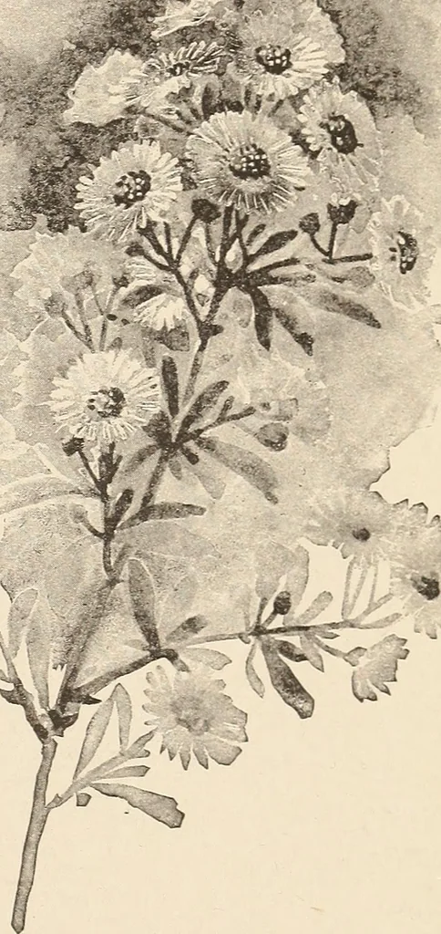 An illustration from The woman's book, dealing practically with the modern conditions of home-life, self-support, education, opportunties, and every-day problems, 1894, leaf 74