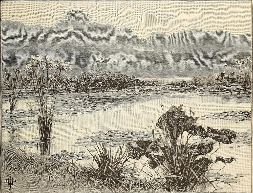An illustration from The woman's book, dealing practically with the modern conditions of home-life, self-support, education, opportunties, and every-day problems, 1894, leaf 76