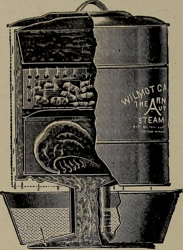 An illustration from The woman's book : dealing practically with the modern conditions of home-life, self-support, education, opportunties, and every-day problems, 1894, leaf 145