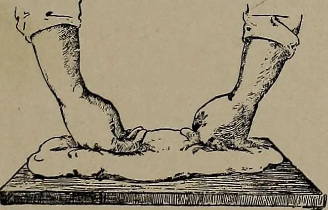 An illustration from The woman's book : dealing practically with the modern conditions of home-life, self-support, education, opportunties, and every-day problems, 1894, leaf 152