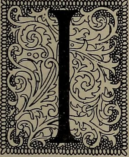 An illustration from The woman's book : dealing practically with the modern conditions of home-life, self-support, education, opportunties, and every-day problems, 1894, leaf 210
