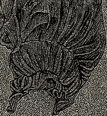 An illustration from The woman's book : dealing practically with the modern conditions of home-life, self-support, education, opportunties, and every-day problems, 1894, leaf 223