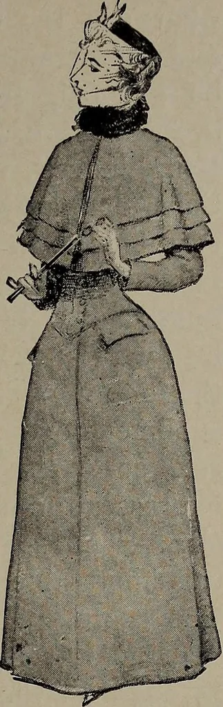 An illustration from The woman's book : dealing practically with the modern conditions of home-life, self-support, education, opportunties, and every-day problems, 1894, leaf 228