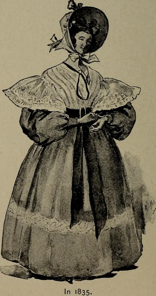 An illustration from The woman's book : dealing practically with the modern conditions of home-life, self-support, education, opportunties, and every-day problems, 1894, leaf 229
