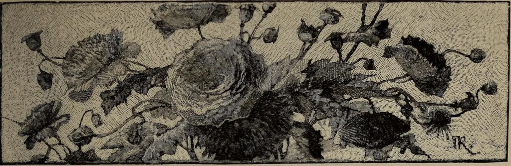 An illustration from The woman's book : dealing practically with the modern conditions of home-life, self-support, education, opportunties, and every-day problems, 1894, leaf 24