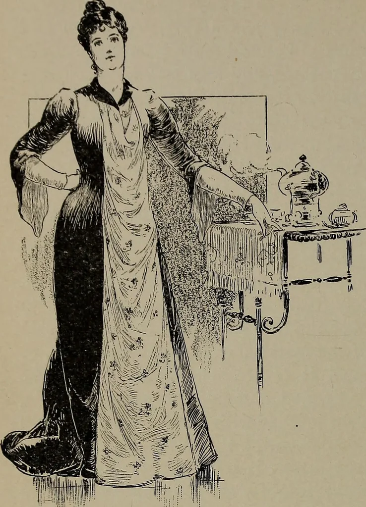 An illustration from The woman's book : dealing practically with the modern conditions of home-life, self-support, education, opportunties, and every-day problems, 1894, leaf 249