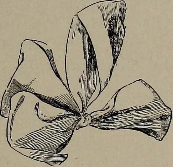 An illustration from The woman's book : dealing practically with the modern conditions of home-life, self-support, education, opportunties, and every-day problems, 1894, leaf 274