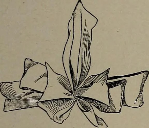 An illustration from The woman's book : dealing practically with the modern conditions of home-life, self-support, education, opportunties, and every-day problems, 1894, leaf 274
