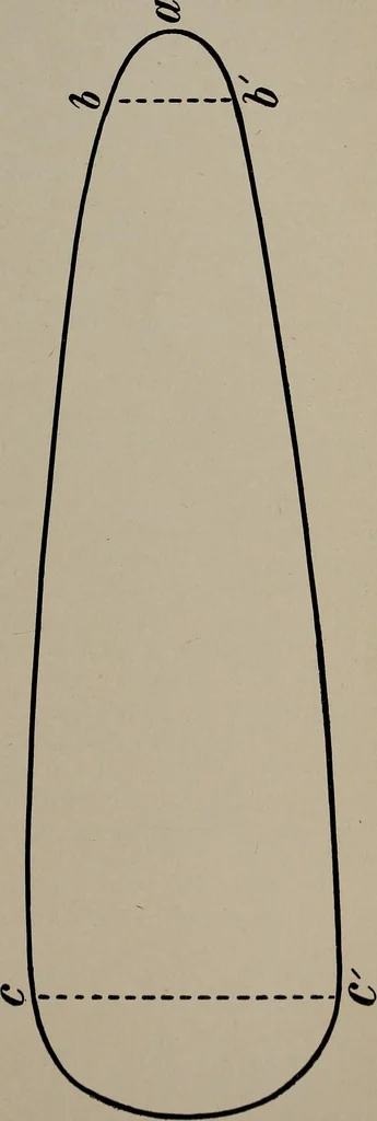 An illustration from The woman's book : dealing practically with the modern conditions of home-life, self-support, education, opportunties, and every-day problems, 1894, leaf 284