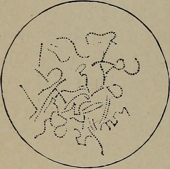 An illustration from The woman's book : dealing practically with the modern conditions of home-life, self-support, education, opportunties, and every-day problems, 1894, leaf 293