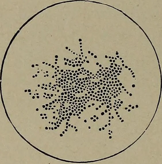An illustration from The woman's book : dealing practically with the modern conditions of home-life, self-support, education, opportunties, and every-day problems, 1894, leaf 293