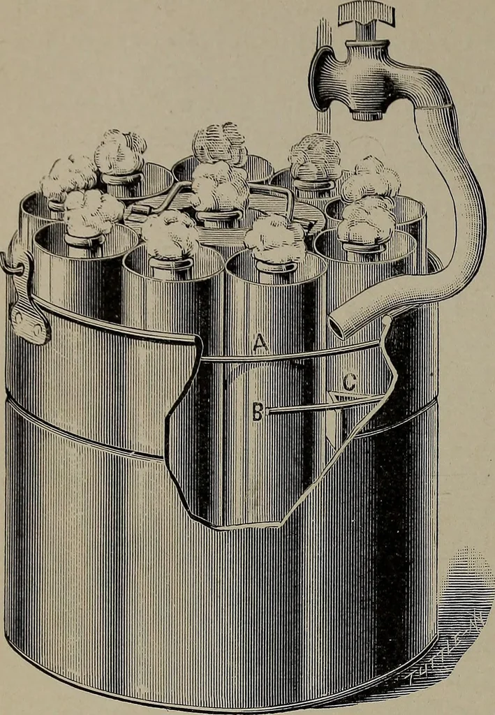 An illustration from The woman's book : dealing practically with the modern conditions of home-life, self-support, education, opportunties, and every-day problems, 1894, leaf 319