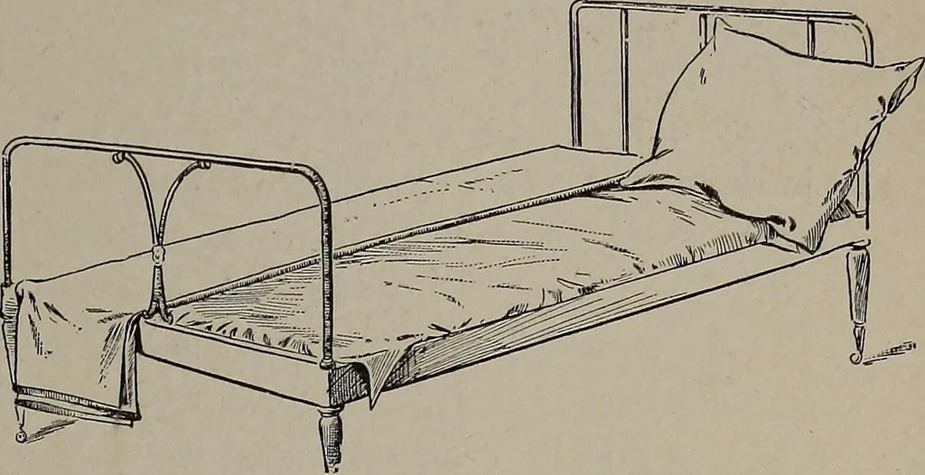 An illustration from The woman's book : dealing practically with the modern conditions of home-life, self-support, education, opportunties, and every-day problems, 1894, leaf 326