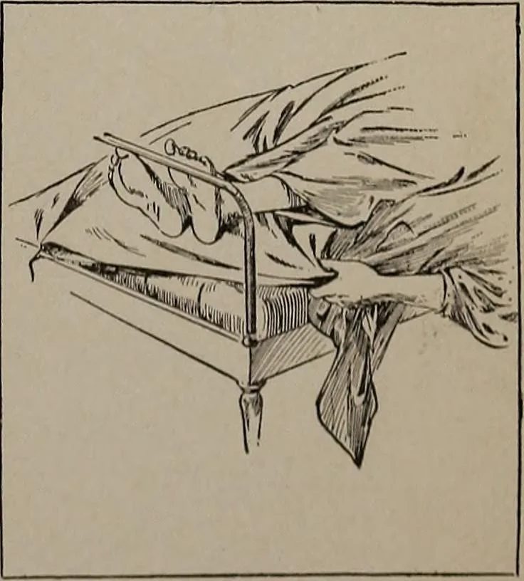 An illustration from The woman's book : dealing practically with the modern conditions of home-life, self-support, education, opportunties, and every-day problems, 1894, leaf 326