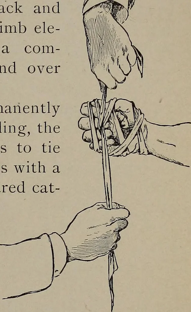 An illustration from The woman's book : dealing practically with the modern conditions of home-life, self-support, education, opportunties, and every-day problems, 1894, leaf 334
