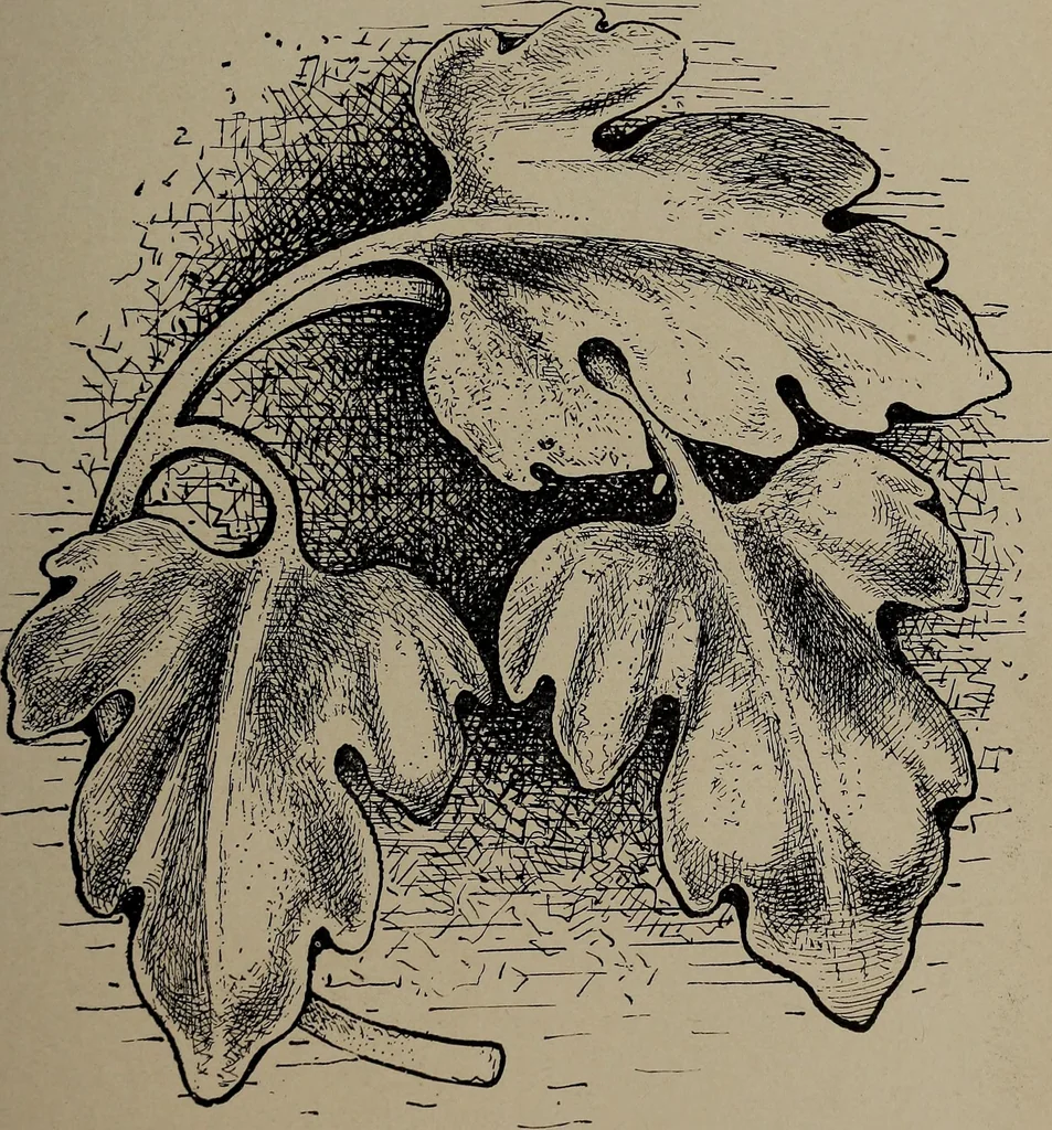 An illustration from The woman's book : dealing practically with the modern conditions of home-life, self-support, education, opportunties, and every-day problems, 1894, leaf 40