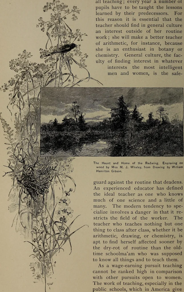 An illustration from The woman's book : dealing practically with the modern conditions of home-life, self-support, education, opportunties, and every-day problems, 1894, leaf 41